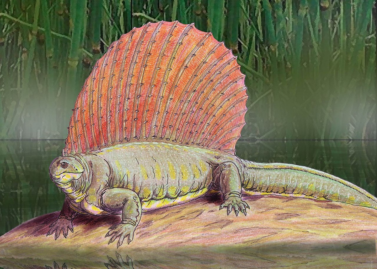 Edaphosaurus boanerges