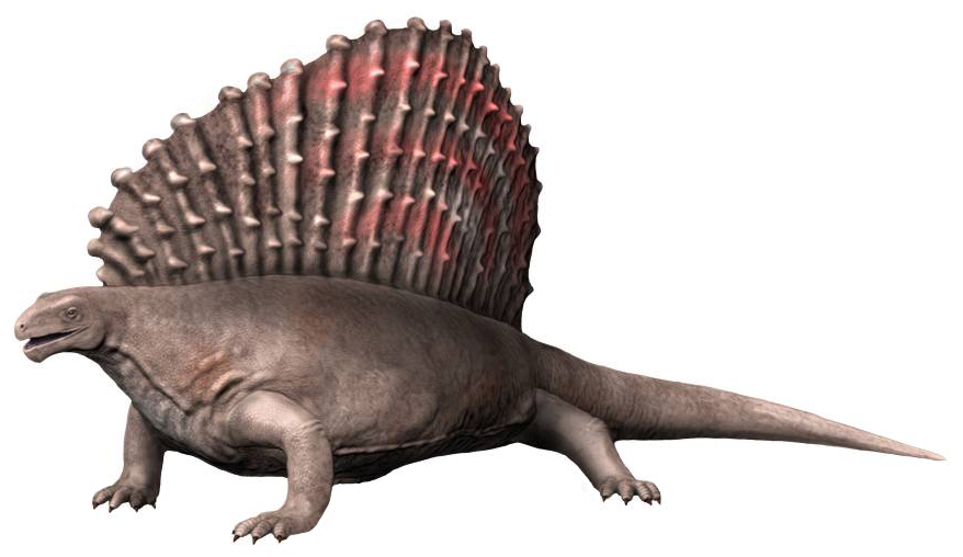 Edaphosaurus