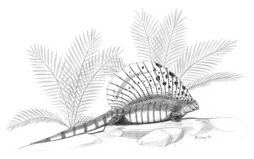 Edaphosaurus cruciger