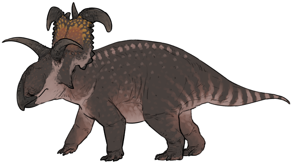 Lokiceratops 2d illustration