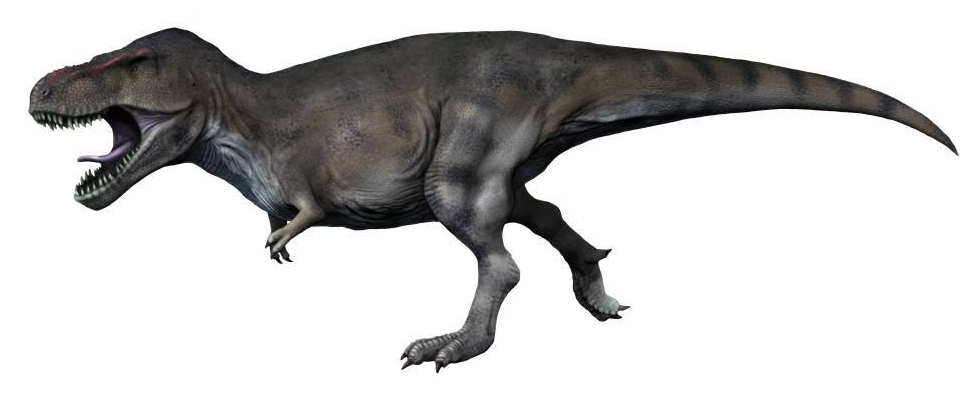 2d color illustration of Tyrannosaurus